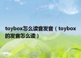toybox怎么读音发音（toybox的发音怎么读）