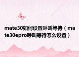 mate30如何设置呼叫等待（mate30epro呼叫等待怎么设置）