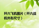 歼六飞机图片（歼六战机外形尺寸）