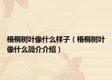梧桐树叶像什么样子（梧桐树叶像什么简介介绍）