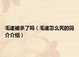 毛遂被杀了吗（毛遂怎么死的简介介绍）