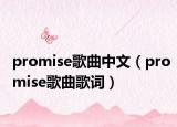 promise歌曲中文（promise歌曲歌词）