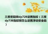 三星密码锁dp728设置指纹（三星dp738指纹锁怎么设置浮动安全码）
