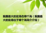 我国最大的盐场在哪个海（我国最大的盐场位于哪个海简介介绍）