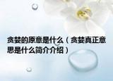 贪婪的原意是什么（贪婪真正意思是什么简介介绍）