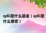 qdii是什么基金（qdii是什么意思）