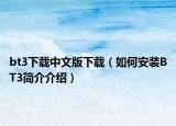 bt3下载中文版下载（如何安装BT3简介介绍）