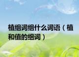植组词组什么词语（植和值的组词）