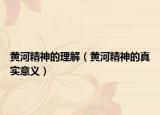 黄河精神的理解（黄河精神的真实意义）