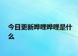 今日更新哗哩哗哩是什么