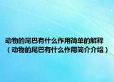 动物的尾巴有什么作用简单的解释（动物的尾巴有什么作用简介介绍）