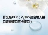什么是XLR（\ TRS混合输入接口音频接口声卡接口）