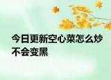 今日更新空心菜怎么炒不会变黑