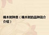 楠木树种类（楠木树的品种简介介绍）