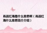 肖战红海是什么意思啊（肖战红海什么意思简介介绍）