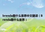 brenda是什么意思中文翻译（Brenda是什么意思）