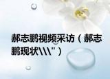 郝志鹏视频采访（郝志鹏现状\