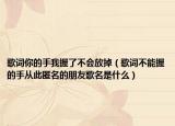 歌词你的手我握了不会放掉（歌词不能握的手从此匿名的朋友歌名是什么）