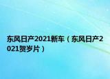 东风日产2021新车（东风日产2021贺岁片）