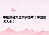 中国菜名大全大字图片（中国菜名大全）