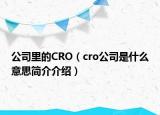 公司里的CRO（cro公司是什么意思简介介绍）