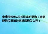 金庸群侠传1玉笛谁家听落梅（金庸群侠传玉笛谁家听落梅怎么弄）