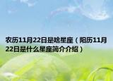 农历11月22日是啥星座（阳历11月22日是什么星座简介介绍）