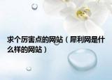 求个厉害点的网站（犀利网是什么样的网站）