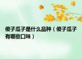 傻子瓜子是什么品种（傻子瓜子有哪些口味）