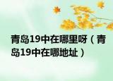 青岛19中在哪里呀（青岛19中在哪地址）