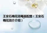 王安石梅花简笔画配图（王安石梅花简介介绍）