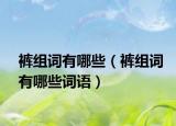 裤组词有哪些（裤组词有哪些词语）