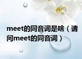 meet的同音词是啥（请问meet的同音词）
