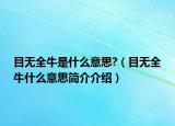 目无全牛是什么意思?（目无全牛什么意思简介介绍）