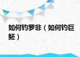 如何钓罗非（如何钓巨魾）
