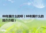 88年属什么的呀（88年属什么的简介介绍）