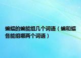 蝙蝠的蝙能组几个词语（蝙和蝠各能组哪两个词语）