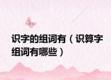 识字的组词有（识算字组词有哪些）