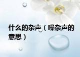 什么的杂声（噪杂声的意思）