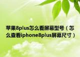 苹果8plus怎么看屏幕型号（怎么查看iphone8plus屏幕尺寸）