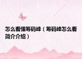 怎么看懂筹码峰（筹码峰怎么看简介介绍）