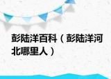 彭陆洋百科（彭陆洋河北哪里人）