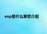 exp是什么意思介绍