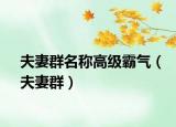 夫妻群名称高级霸气（夫妻群）