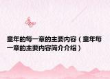 童年的每一章的主要内容（童年每一章的主要内容简介介绍）