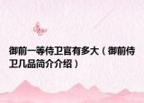 御前一等侍卫官有多大（御前侍卫几品简介介绍）