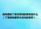 陆龟蒙的丁香这首诗的意思是什么（丁香陆龟蒙原文诗句的意思）