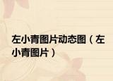 左小青图片动态图（左小青图片）