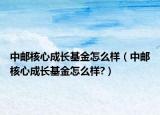 中邮核心成长基金怎么样（中邮核心成长基金怎么样?）