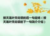 接天莲叶无穷碧的后一句是啥（接天莲叶无穷碧的下一句简介介绍）